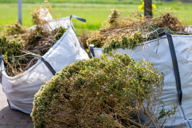 Same-Day Junk Removal Services in Wyandotte, MI
