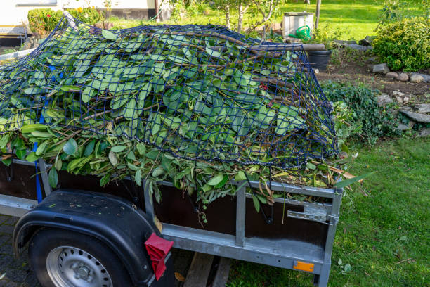 Best Carpet Removal and Disposal  in Wyandotte, MI